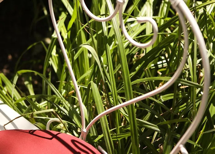 Hotel Particulier Montmartre